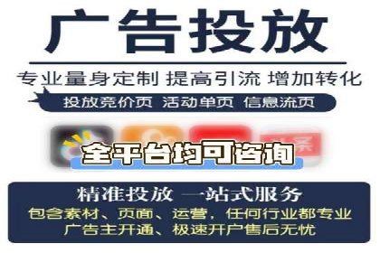 百度推广排名案例报告：某行业巨头如何运用其占领市场高地